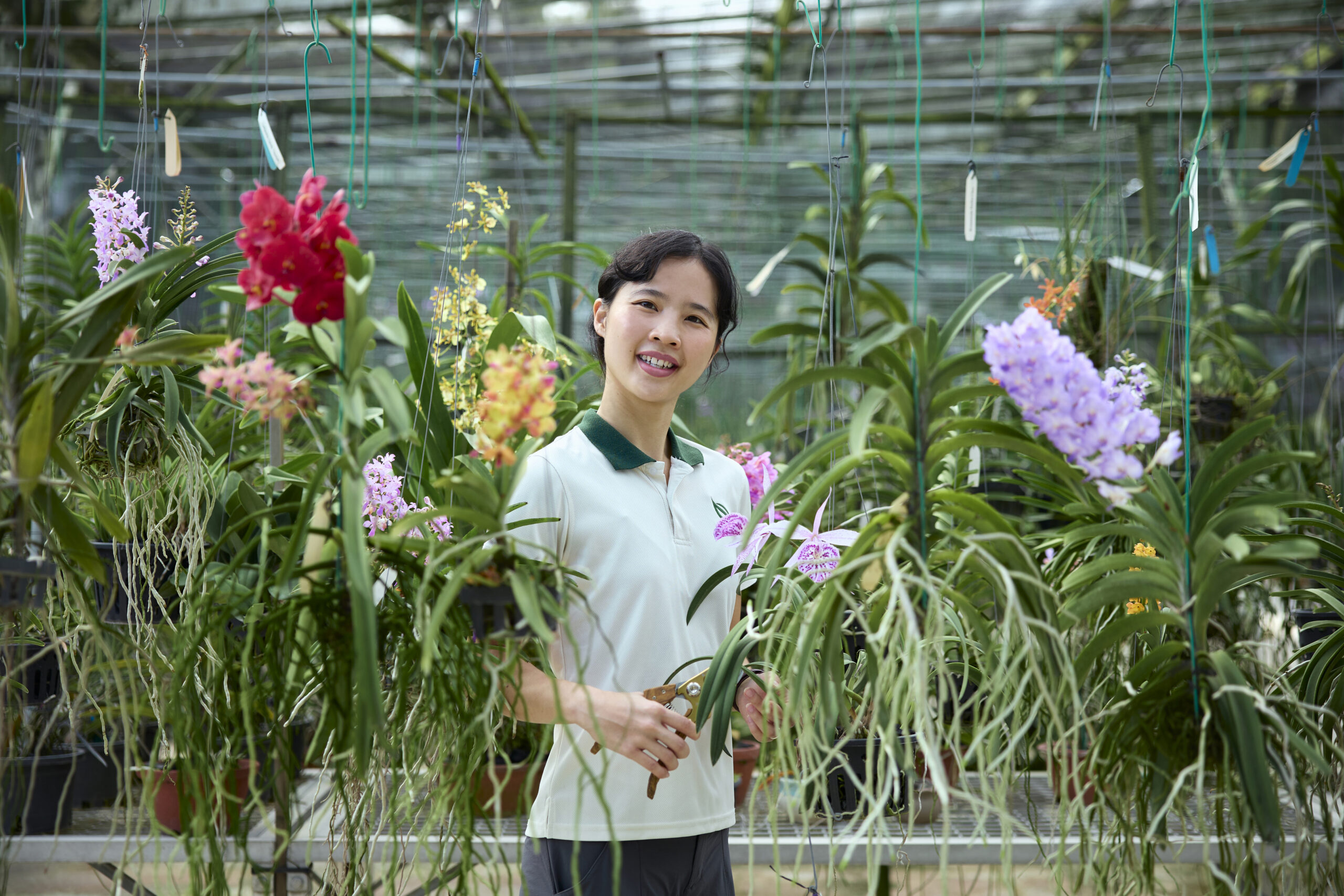 nparks undergraduate scholarship